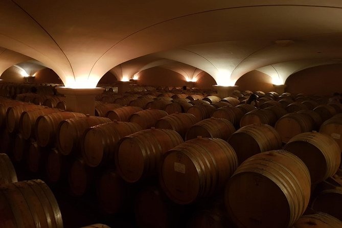Rhone Valley Wine Tasting - Artisanal Producers in the Rhone Valley