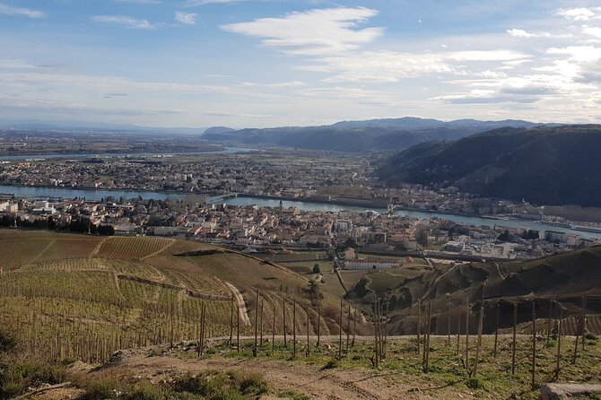 Rhône Valley Wine Tasting Private Day Tour From Lyon - Tour Details and Logistics