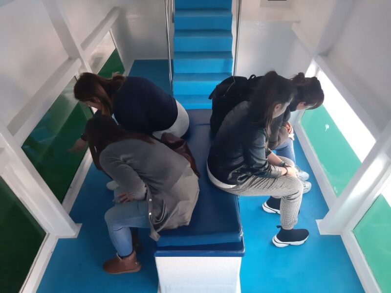 Ría De Arousa: Boat Ride to Mussel Farm With Tasting - Duration and Pricing