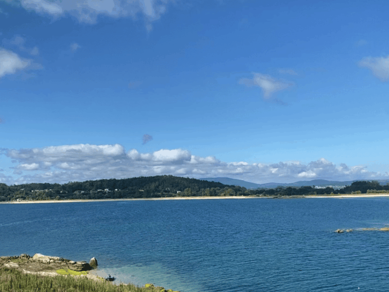 Ría De Arousa: Daytime or Sunset Sailboat Cruise With Drinks - Key Points