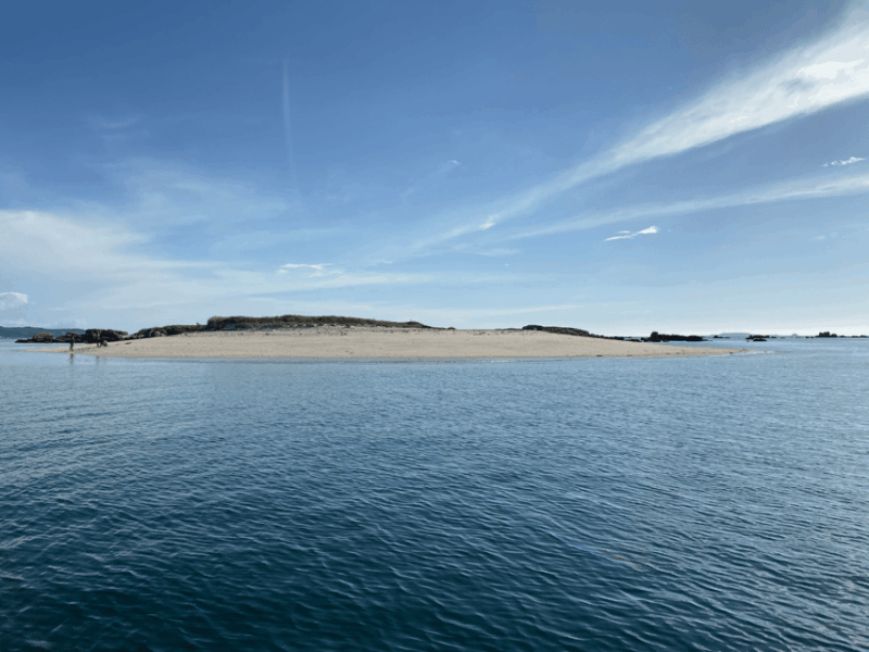 Ría De Arousa: Daytime or Sunset Sailboat Cruise With Drinks - Onboard Experience