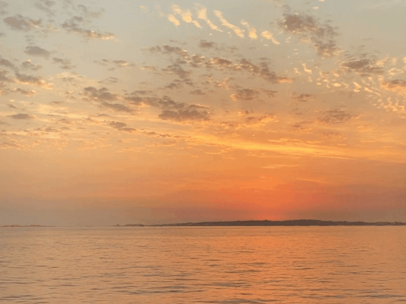 Ría De Arousa: Daytime or Sunset Sailboat Cruise With Drinks - Important Information