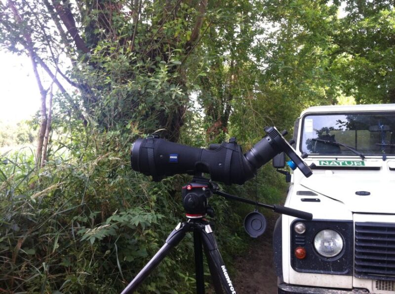 Ria De Aveiro: Birding Day - Private Tour up to 4 People - What to Bring and Not Allowed