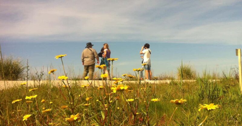 Ria De Aveiro Inn Nature Full-Day Private Tour up to 4 Pax - Key Points