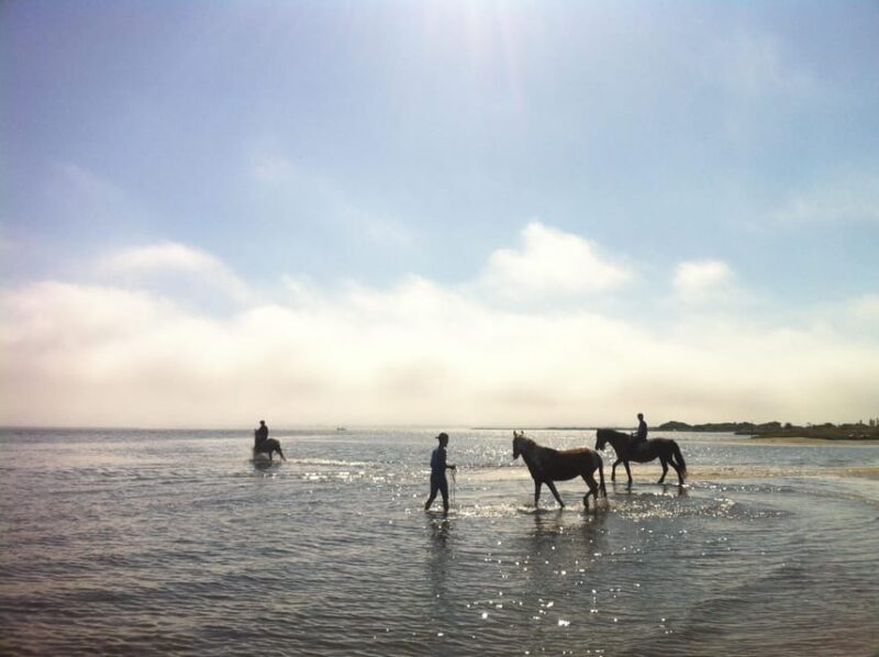 Ria De Aveiro Inn Nature Full-Day Private Tour up to 4 Pax - Included Services