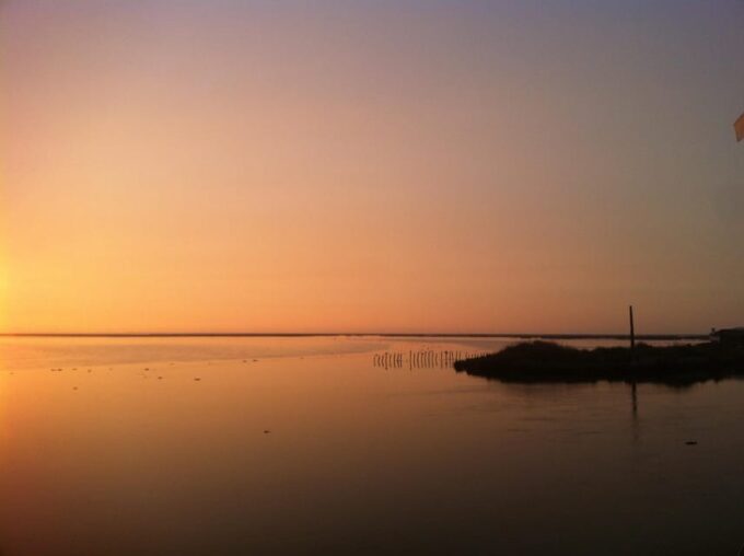 Ria De Aveiro Inn Nature Full-Day Private Tour up to 4 Pax - Important Considerations