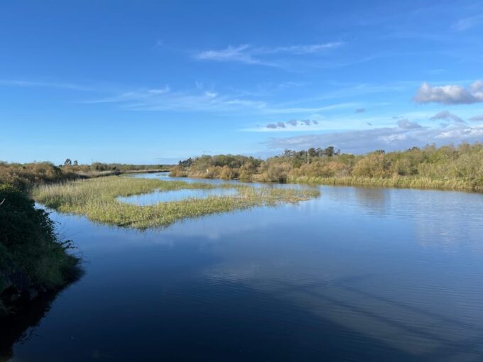 Ria De Aveiro Inn Nature Full-Day Private Tour up to 4 Pax - Reservation Options
