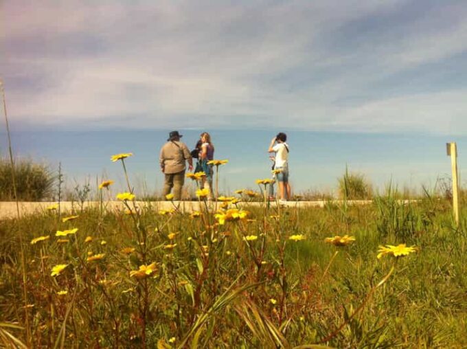 Ria De Aveiro Inn Nature Full-Day Private Tour up to 4 Pax - Frequently Asked Questions