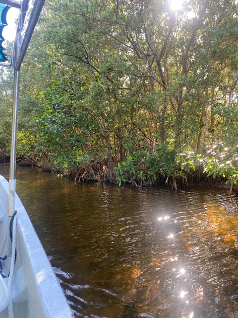 Ria Expedition: Boat Journey Through the Mangrove - Exclusions