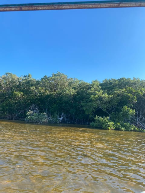 Ria Expedition: Boat Journey Through the Mangrove - Meeting Point