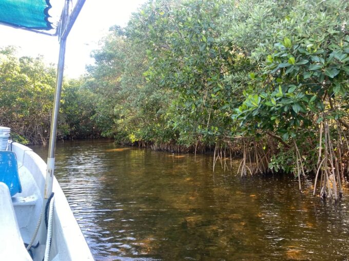Ria Expedition: Boat Journey Through the Mangrove - Amenities