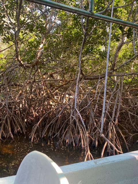 Ria Expedition: Boat Journey Through the Mangrove - What to Bring