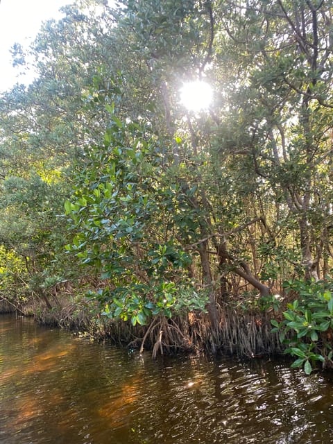 Ria Expedition: Boat Journey Through the Mangrove - Cancellation Policy