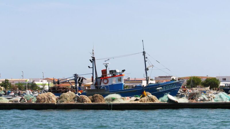 Ria Formosa: 2-Hour Fishermen Route Boat Tour - Experience Highlights