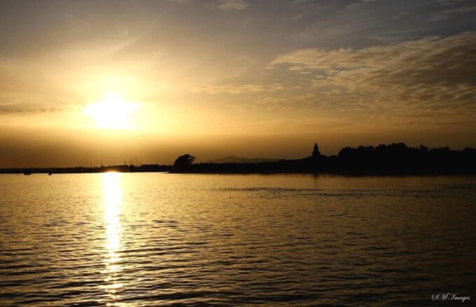 Ria Formosa 2 Islands Tour - Customer Feedback and Ratings