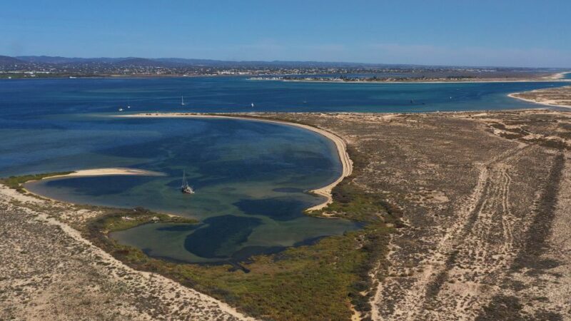 Ria Formosa: Armona and Culatra Islands Boat Tour - Itinerary