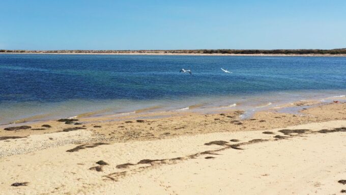 Ria Formosa: Armona and Culatra Islands Boat Tour - Cruise Options Available