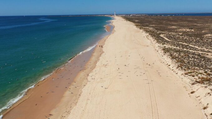 Ria Formosa: Armona and Culatra Islands Boat Tour - Important Considerations