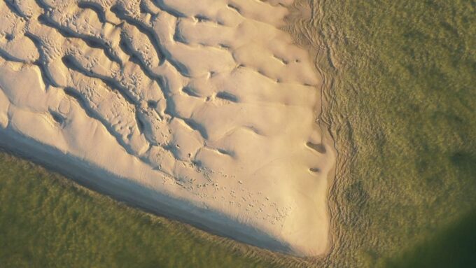 Ria Formosa: Armona and Culatra Islands Boat Tour - Frequently Asked Questions