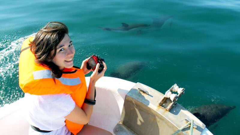 Ria Formosa: Dolphin-Watching Boat Tour - Key Points