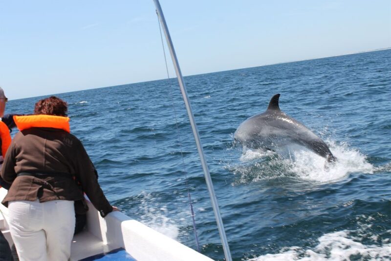 Ria Formosa: Dolphin-Watching Boat Tour - Booking Information