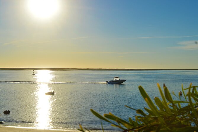 Ria Formosa & Ilhas: Sunset Boat Trip - Highlights