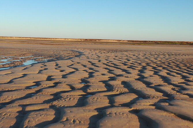 Ria Formosa & Islands : 2h00 Private Tour of Ria Formosa - Included Equipment and Transportation