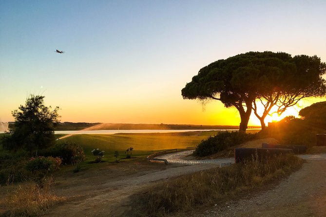 Ria Formosa Natural Park Birdwatching Segway Tour From Faro - Exploring Ria Formosa Natural Park