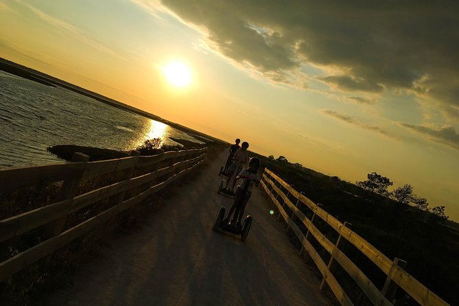 Ria Formosa Natural Park Birdwatching Segway Tour From Faro - Observing Native and Migratory Birds
