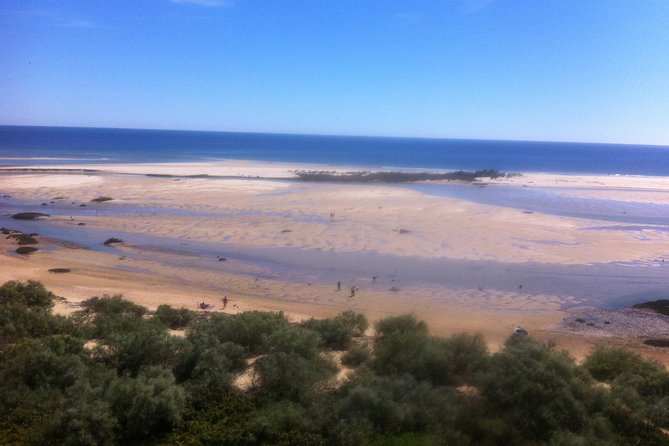 Ria Formosa Natural Reserve Park Day Trip From Albufeira - Recommended Tour Providers