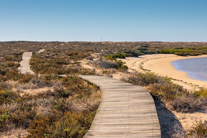 Ria Formosa: Private Boat Rental (From 2 to 8 Hours) - Duration and Customization Options