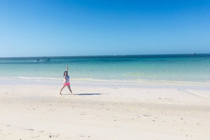 Ria Lagartos, Coloradas & Cancunito Beach From Merida - Customer Feedback