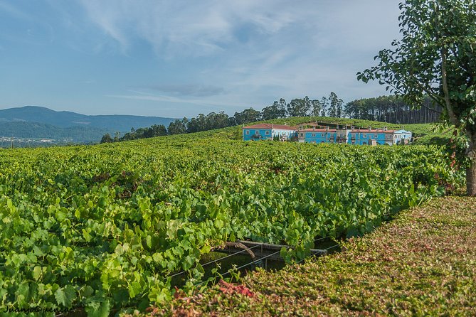 Rías Baixas Private Tour From Santiago De Compostela - Frequently Asked Questions