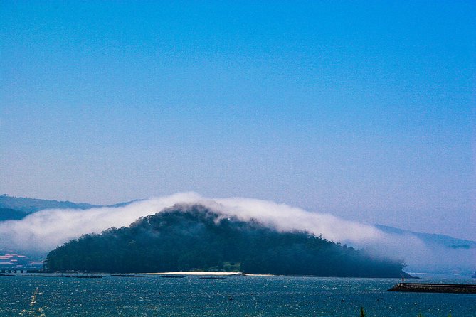 Rías Baixas Private Tour With Wine Tasting, Food, Mussels Boat and Pickup - Traveler Feedback