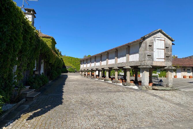 Rias Baixas Private Wine Tasting Tour in a Porsche Taycan - Health and Accessibility Considerations