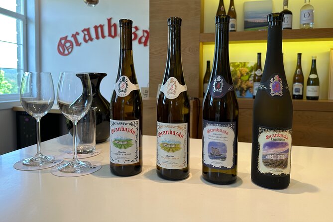 Rias Baixas Private Wine Tasting Tour in a Porsche Taycan - Guest Reviews and Experiences