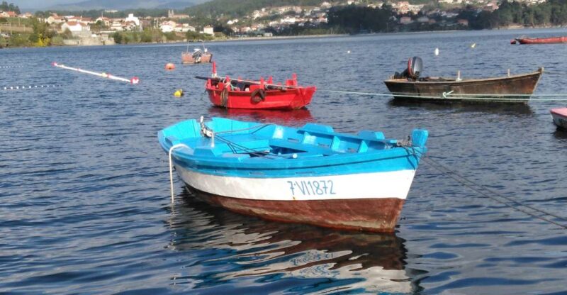Rías Baixas Tour; Arousa and Toxa Islands, Combarro & Boat - Guided Tours