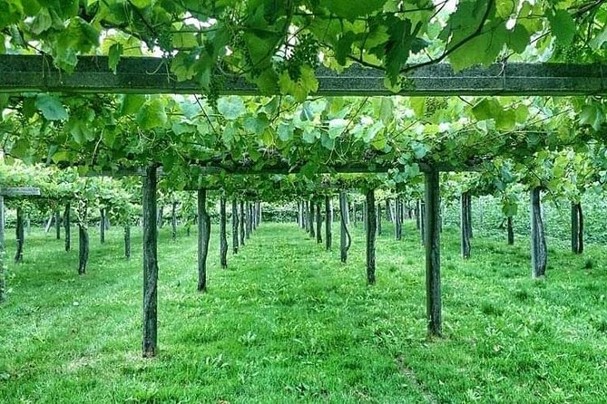 Rias Baixas Tour - Accessibility and Amenities