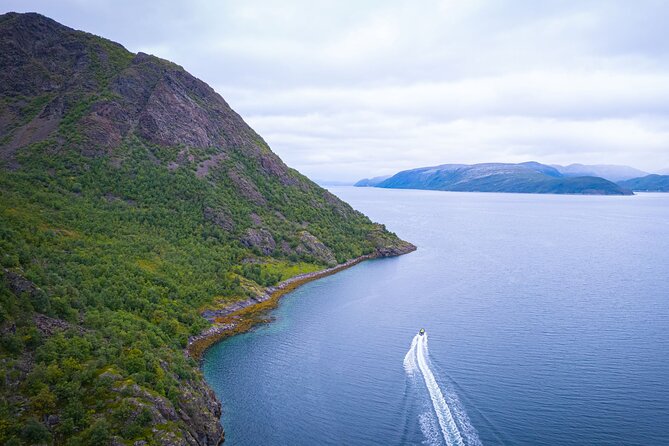 RIB Expedition to Seiland National Park - 3.5h - Customer Feedback