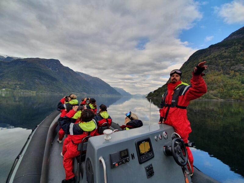 RIB Fjord Safari With Sider Tasting - Key Points