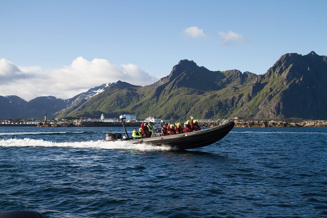 RIB Sea Eagle Safari Trollfjord Cruise - Good To Know