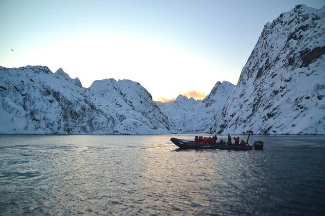 RIB Sea Eagle Safari Trollfjord Cruise - Breathtaking Landscapes