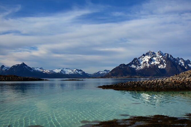 RIB Sea Eagle Safari Trollfjord Cruise - Knowledgeable and Humorous Guides