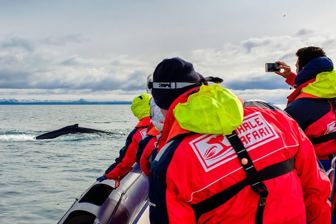 RIB Whale Watching Small-Group Boat Tour From Reykjavik - Meeting and Pickup