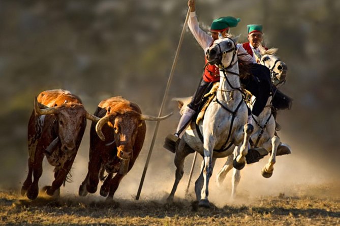 RIBATEJO - ALL INCLUDED, One Day Trip in Salvaterra De Magos and Escaroupim Tour - Key Points