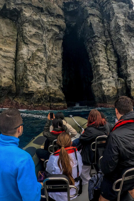 Ribeira Grande: Ocean Safari |Sta. Eiria Bay - Requirements and Important Information
