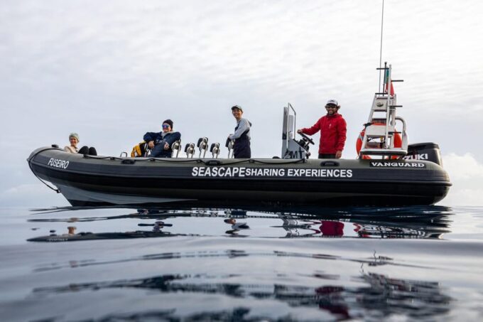 Ribeira Grande: Ocean Safari |Sta. Eiria Bay - Frequently Asked Questions
