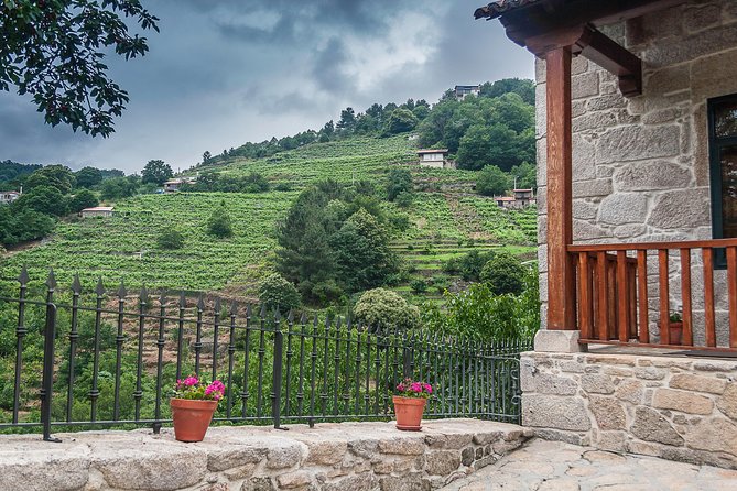 Ribeira Sacra, Heroic Wines Private Tour From Santiago - Discover Local Wine Production