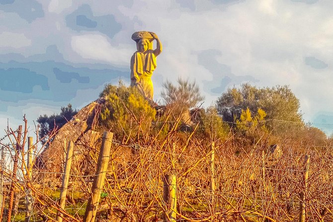 Ribeira Sacra, Heroic Wines Private Tour From Santiago - Immerse in Galician Scenery