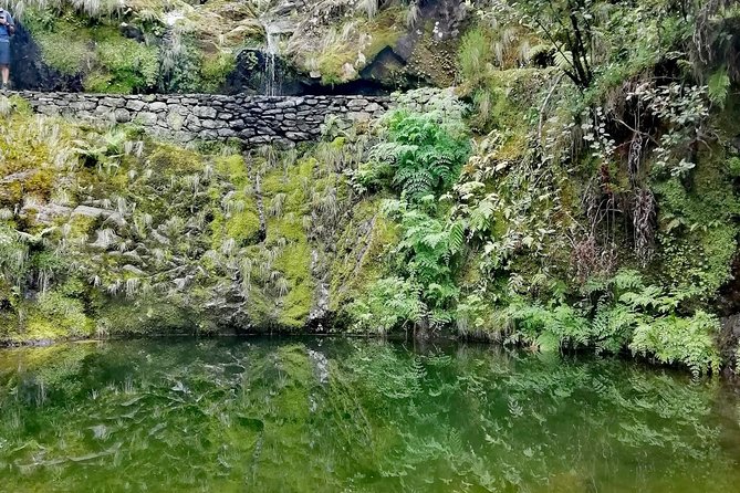 Ribeiro Frio - Portela - Scenic Landscapes and Vegetation